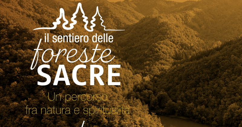 IL SENTIERO DELLE FORESTE SACRE
